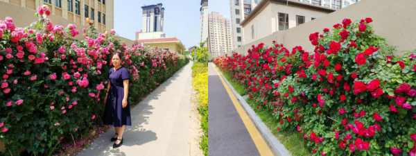 5.22 物业服务 合1.png 5.22 物业服务 合1.png